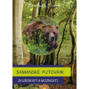 Šamanské putování - Zkušenosti a možnosti