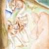 Bonnie 'Prince' Billy, Wolf of the Cosmos - Bonnie Prince Billy CD, CD