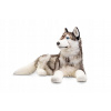Maskot psa husky 71 cm plyšový psík príroda (Maskot psa husky 71 cm plyšový psík príroda)