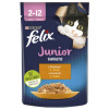 Felix Fanstastics Junior kura 85g