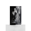 Feromóny Sport Polo 15 ml pre mužov - sprej
