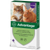 Bayer Animal Health Advantage spot-on pre mačky nad 4kg 1x0,8ml