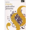 Otázky právního procesu - Eduard Bruna