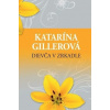 Dievča v zrkadle - Gillerová Katarína