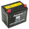 Akumulátor MTD Arnold 12 V