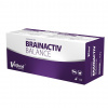 VETFOOD Brain Activ Balance - doplňky stravy pro psy a kočky - 120ks