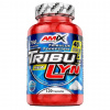Amix TribuLyn 40% 120 kapsúl