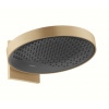 Hansgrohe Rainfinity Hlavová sprcha 360 s pripojením, 1 prúd, kefovaný bronz 26230140-HG