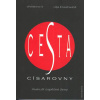 Li Christine: Cesta císařovny - manuál úspěšné ženy (před 1000 lety se konkubíně Wu Zhao podařil pohádkový vzestup na císařský trůn; rady, které jí dával mág a lékař Sun Simiao se nyní dostávají i k v