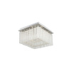 RABALUX Danielle 2448 stropné svietidlo LED 21W