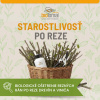 Starostlivosť po reze