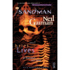 Sandman 7 Brief Lives 30th Anniversary Edition (Neil Gaiman)