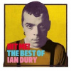 Dury Ian - Hit Me!:The Best Of / 2LP [2 LP]
