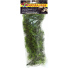 Zoo Med Cashuarina Plastic Plant - L/56 cm