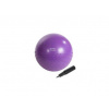 Masážní gymnastický míč HMS YB03N 55 cm fialový