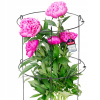 Pergola kovová Kadax, stĺp 60 cm