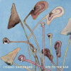 2LP Cosmo Sheldrake: Eye To The Ear