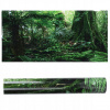 3D POZADIE DO AKVÁRIA 122x46 cm Rainforest