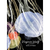 Orlando (Virginia Woolf)