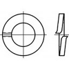 TOOLCRAFT TO-6854196 pérová podložka Vnútorný Ø: 10 mm DIN 127 Ušlechtilá ocel V4A A4 100 ks; TO-6854196