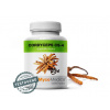 MycoMedica Cordyceps CS-4 90 kapslí