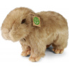 Eco-Friendly kapybara 30 cm
