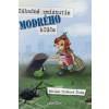 Záhadné zmiznutie modrého kľúča - Poláková Šinka Adriana