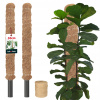 2x PODPORA PRE RASTLINY 50 CM TYČ PALICA KOKOSOVÉ VLÁKNO 2,5 KOKOSOVÝ KOLÍK