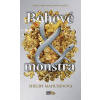 Bohové a monstra - Shelby Mahurin