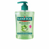 Tekuté Mydlo na Ruky s Davkovačom Sanytol Antibakteriálny (500 ml)