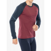 Bežecká mikina Dynafit Alpine Pro L/S Tee - burgundy