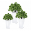 Kvetináč Prosperplast 19,5 cm x 19,5 x 37,5 cm priemer 19,5 cm plastový biely + 2 ďalšie produkty (Záhradné kvetináče Záhradné kvetináče 3 ks)