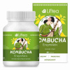 Liftea KOMBUCHA EnzymAktiv 60 kapsúl