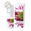 Ryor RYOR Depigmentační krém 50 ml