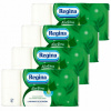 Toaletný papier Regina Aloe vera 3 vrstvy 32 ks. (Toaletný papier Regina Aloe vera 3 vrstvy 32 ks.)