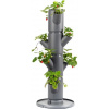 Gusta Garden Sissi Strawberry starter samozavlažovací kvetináč, 4 poschodia, antracit GG-101569