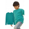 Mikina - Ovocie detskej mikiny veľkosti 140 Dlhý tyrkysový rukáv (Mikina detskej mikiny ovocie tkalosti Raglan - 140 cm)