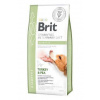 Brit VD Dog GF Diabetes 12kg