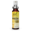 Dr. Bach Rescue® Krízová esencia v spreji 20ml s obsahom alkoholu