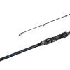 Delphin EXTAZA 24T 2,7 m 7-25 g 2 diely