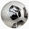 Futbalová lopta Puma BIG CAT STRIEBORNÁ 84214 03 veľ. 5