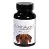 AminAvast 1000 mg 60 cps. pes