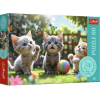 Trefl Puzzle 60 Tri mačiatka