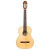 Ortega R121-L