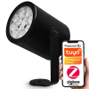 Vonkajšie svietidlo RGBCCT IP66 230V ZigBee HUE TUYA