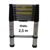 ASIST AR99-6250