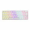 White Shark Shinobi White Blue Switch GK-2022