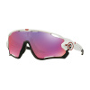 OAKLEY JAWBREAKER OO9290 05