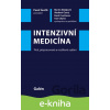 E-kniha Intenzivní medicína - Pavel Ševčík a kolektív