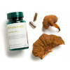 ReishiMax